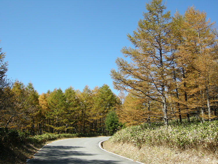 DSCN1410.jpg