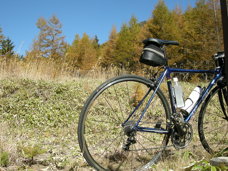 DSCN1412.jpg