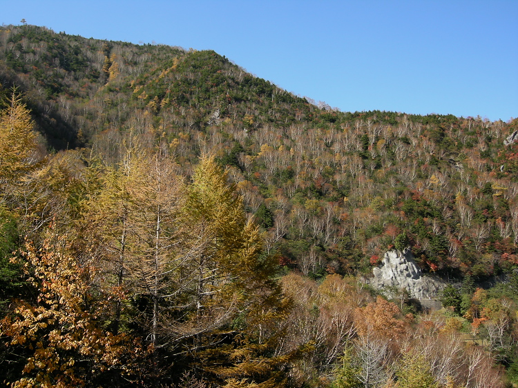 DSCN1432.jpg