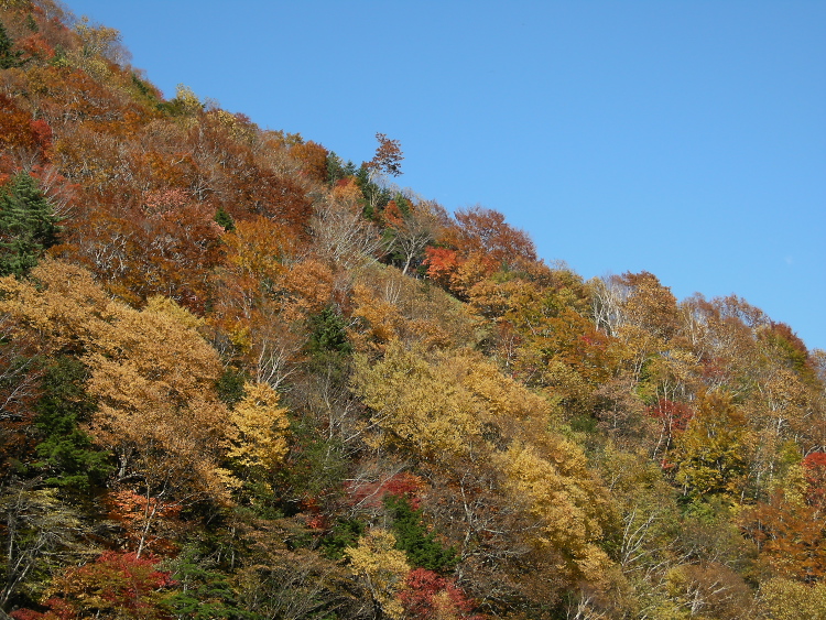 DSCN1441.jpg