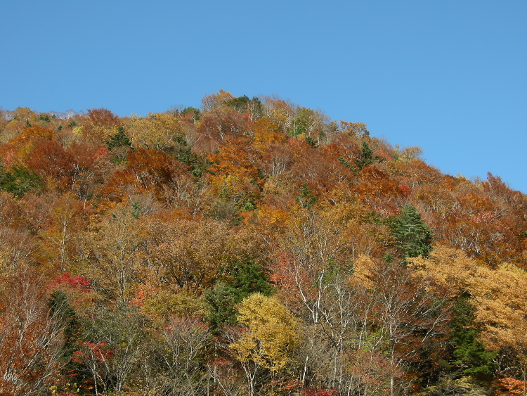 DSCN1443.jpg