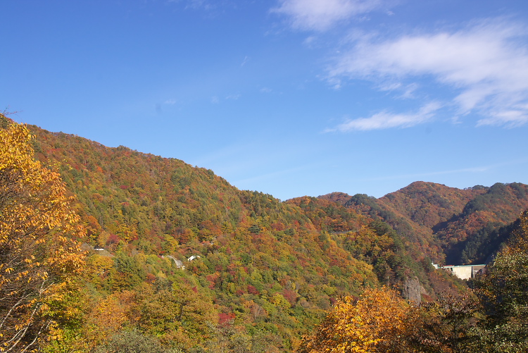 IMGP2289.jpg