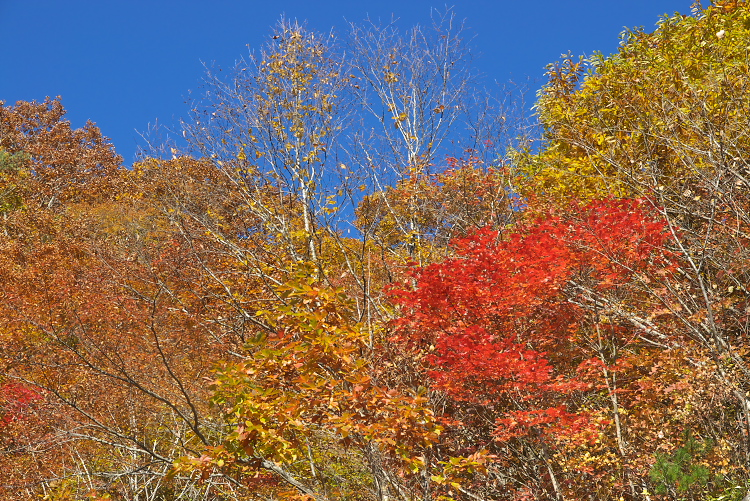 IMGP2292.jpg