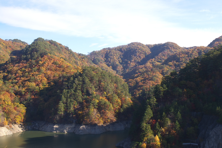 IMGP2294.jpg