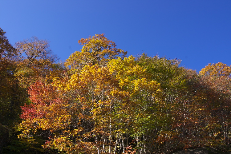 IMGP2296.jpg