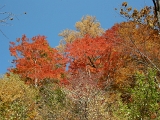 DSCN1342