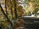 DSCN1352
