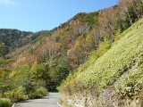 DSCN1376