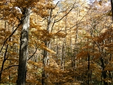 DSCN1384
