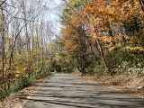DSCN1400
