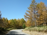 DSCN1410