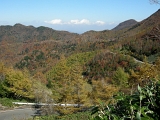DSCN1423