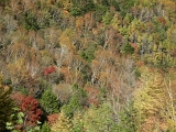 DSCN1433