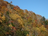 DSCN1440