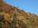 DSCN1441