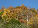 DSCN1444