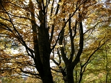DSCN1447