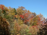 DSCN1449