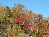DSCN1450