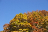 IMGP2309