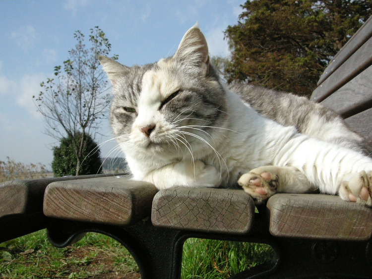 DSCN1541.jpg