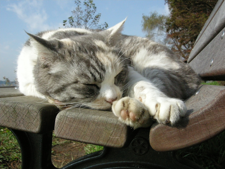 DSCN1544.jpg