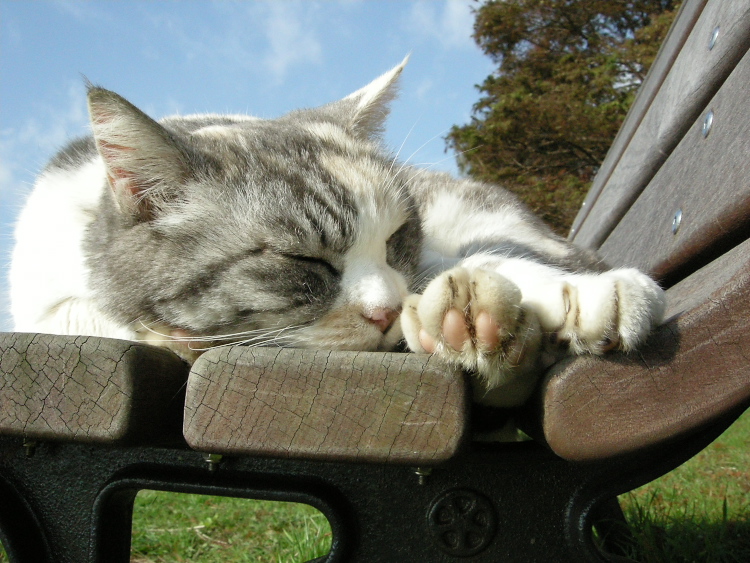 DSCN1546.jpg