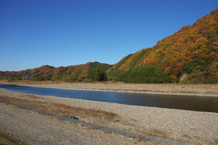 IMGP2545.jpg
