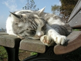 DSCN1544