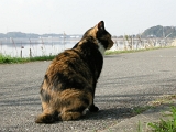 DSCN1551