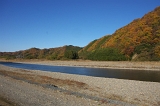 IMGP2545