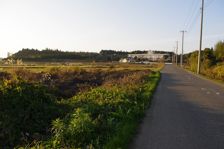 IMGP0963.jpg