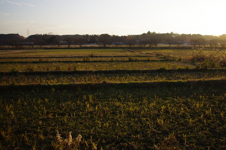 IMGP0968.jpg