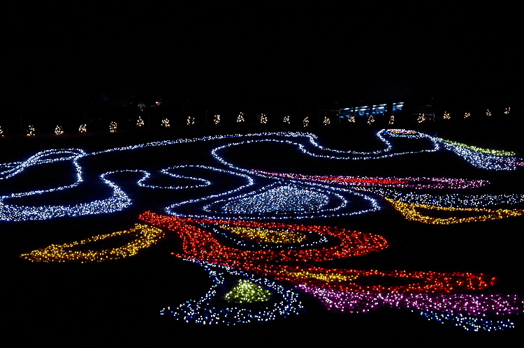 IMGP1203.jpg