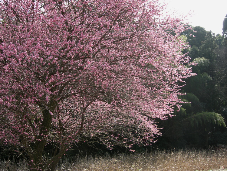 DSCN1752.jpg