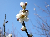 DSCN1718