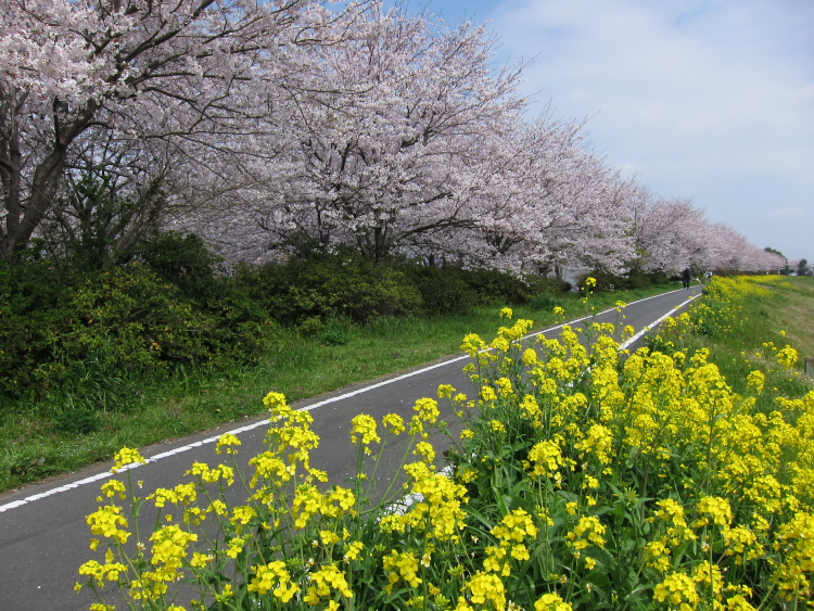 IMG_0349.jpg - 小貝川ＣＲ