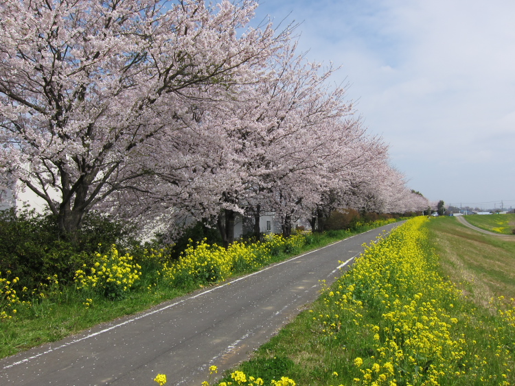IMG_0354.jpg - 小貝川ＣＲ