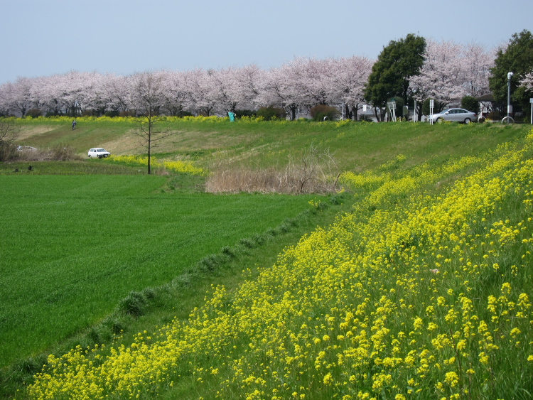 IMG_0359.jpg - 小貝川ＣＲ