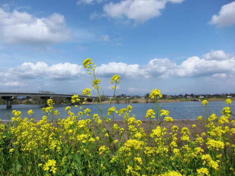 IMG_0385.jpg - 小貝川ＣＲ