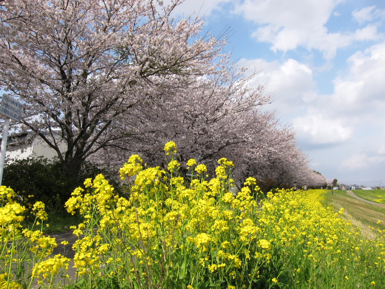 IMG_0392.jpg - 小貝川ＣＲ