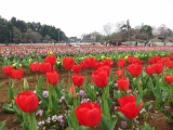 IMG_0325