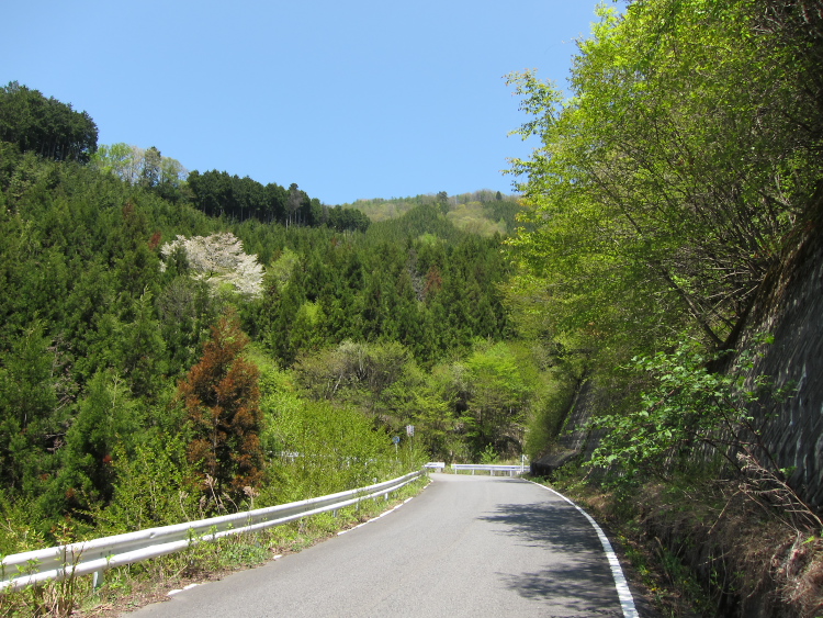 IMG_0539.jpg
