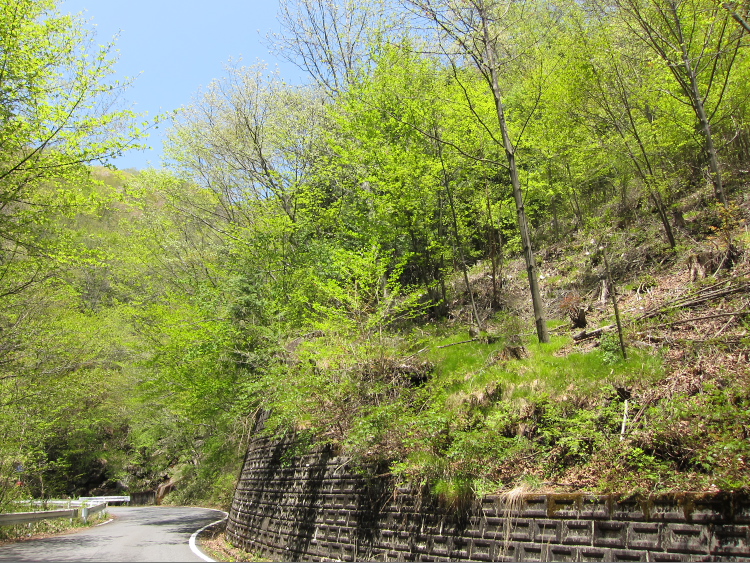 IMG_0541.jpg - 粕尾峠へ