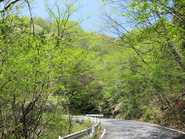 IMG_0544.jpg