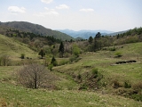 IMG_0564