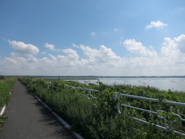 IMG_1010.jpg - 印旛沼サイクリングロード