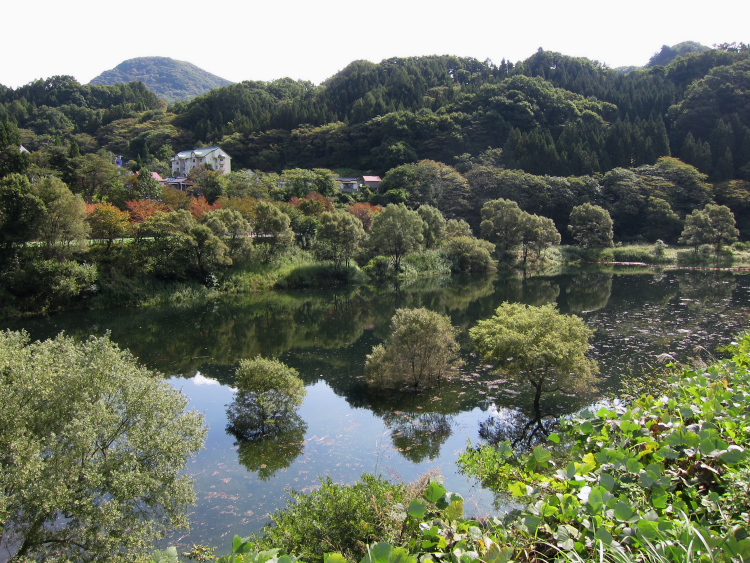 IMG_1331.jpg - 奥利根、藤原ダム