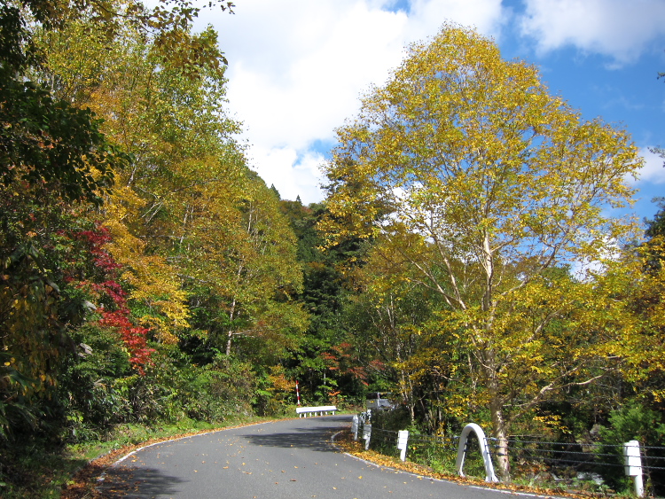 IMG_1357.jpg - 照葉峡を坤六峠へ向かう