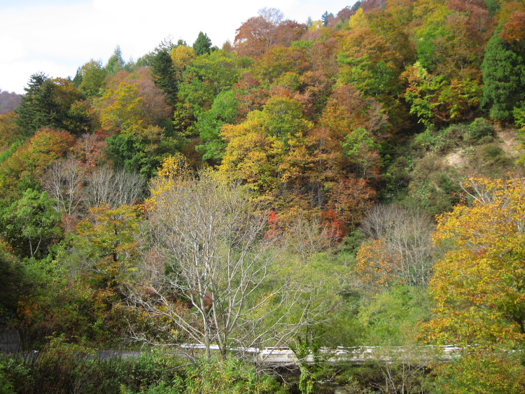 IMG_1475.jpg